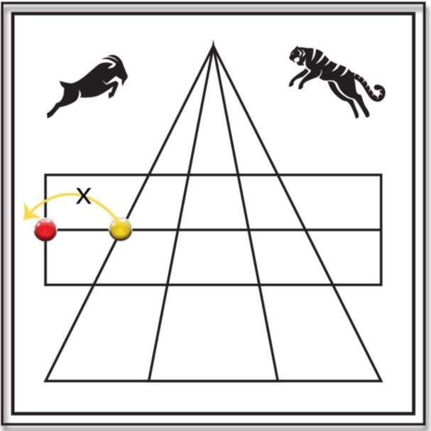 Adu Puli Attam board example one